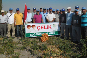 Çelik Soğan Çelik Soğan